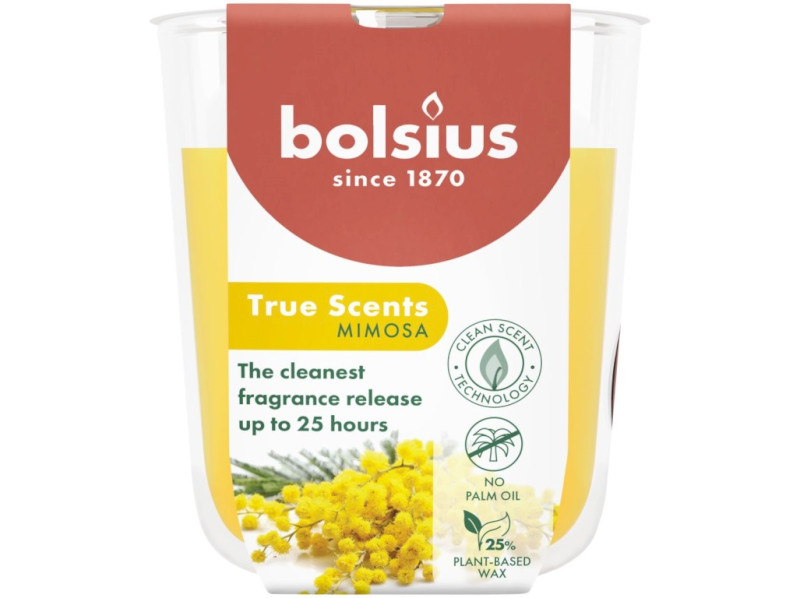 45241-45241 101924930356